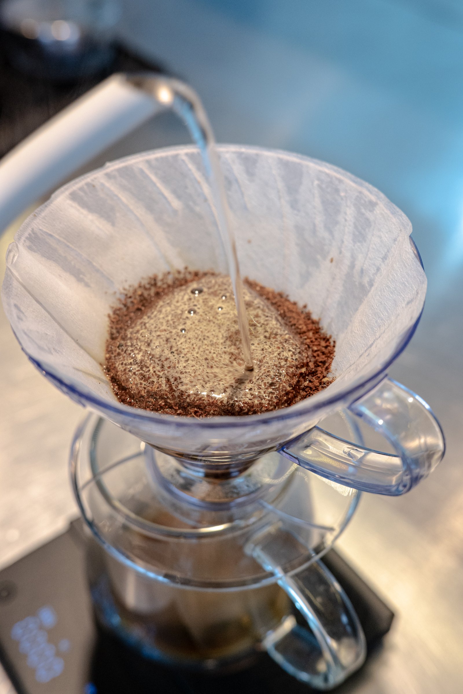 café filtrado chiamo